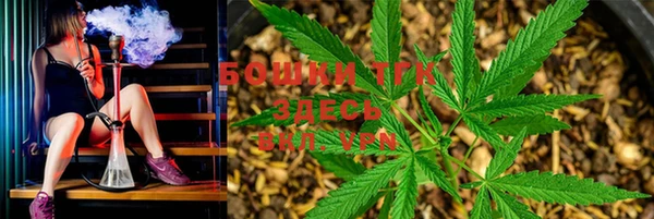PSILOCYBIN Абдулино