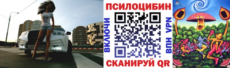 где купить наркоту блэк спрут ТОР Галлюциногенные грибы мухоморы Ладушкин